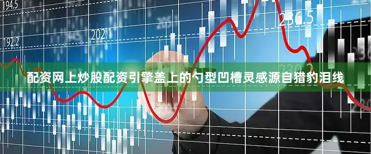 配资网上炒股配资引擎盖上的勺型凹槽灵感源自猎豹泪线